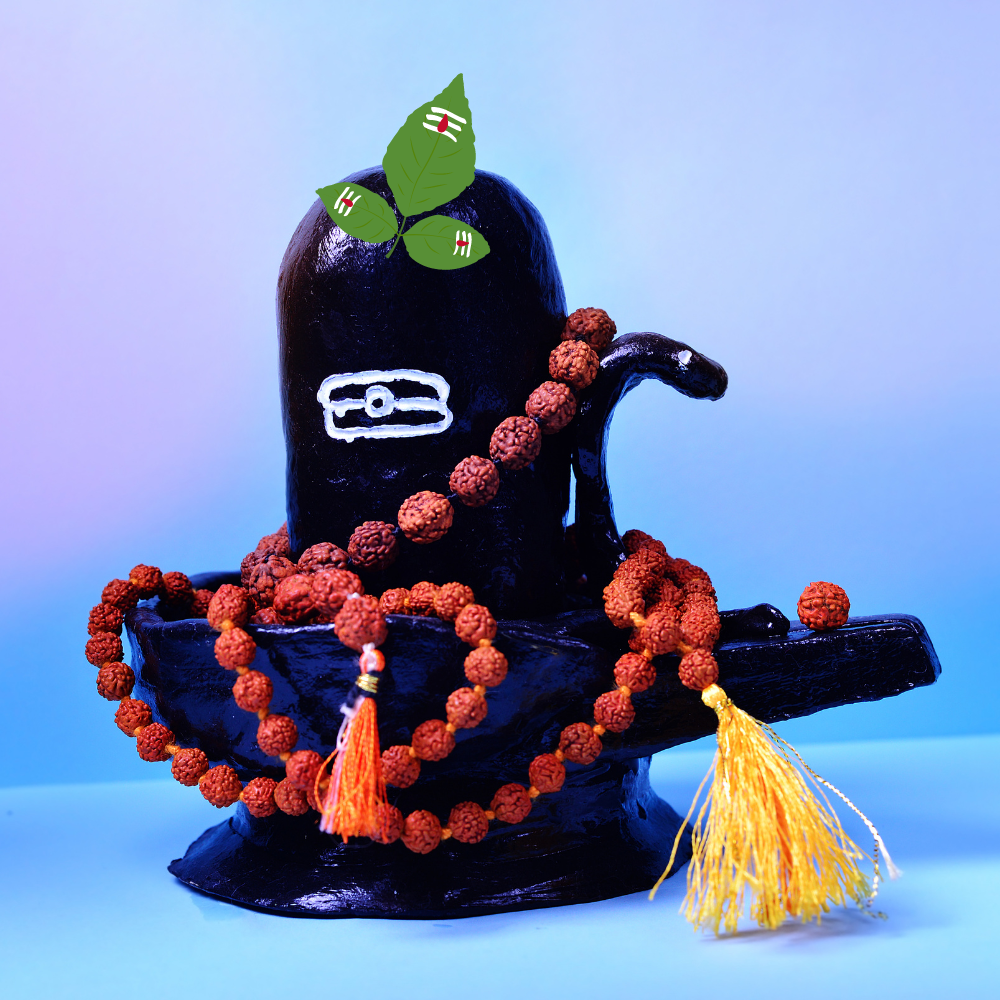 Online Shiv Rudrabhishek in Kashi - Book with 1, 2, or 5 Purohits | Live Ritual & Prasad Delivery